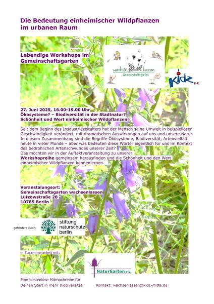 Ökosysteme? – Biodiversität in der Stadtnatur? Schönheit und Wert einheimischer Wildpflanzen