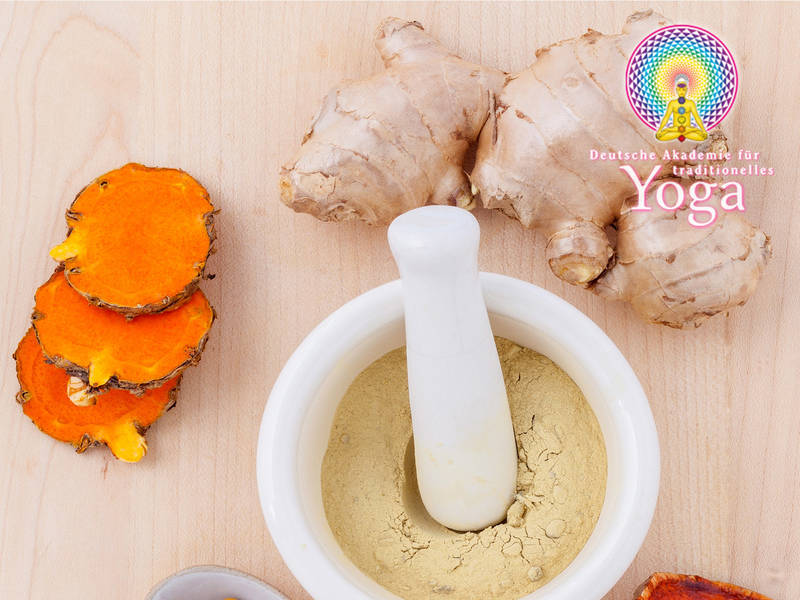 Ayurveda Eröffnungs-Workshop - 1 Monat gratis