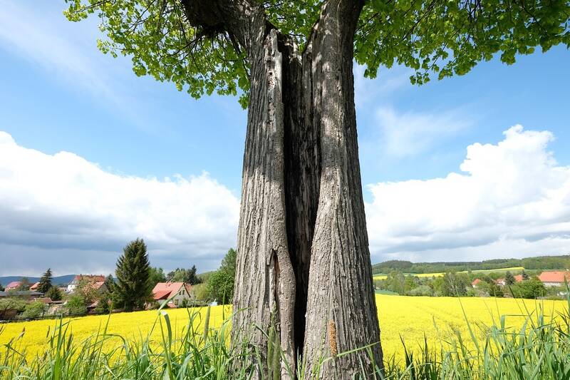 Kostenfreie Infoveranstaltung für angehende „Stadtflüchter“ und Landbewohner (mit unternehmerischen Ambitionen