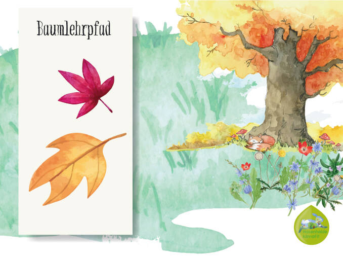 Nature Journaling: Bäume im Herbst