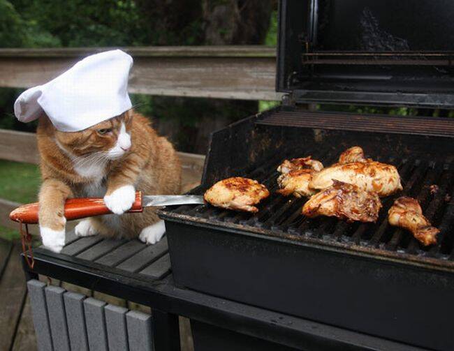 BYO BBQ / Open Fire and Music Jam Session / Dj Seraphim