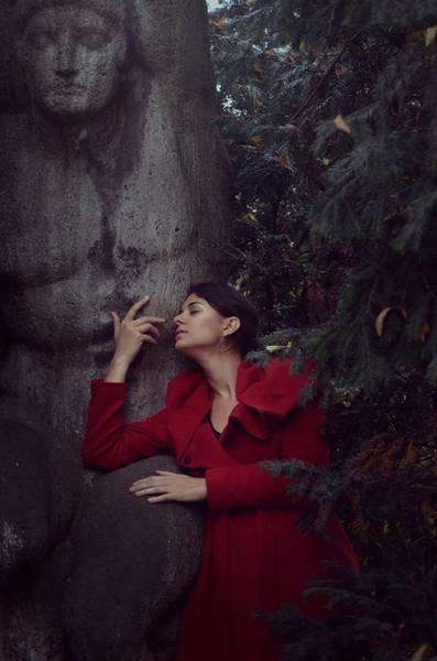 Die Stimme der Stille