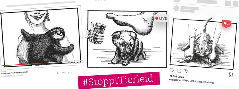 Welttierschutztag: #StopptTierleid-Aktionstag