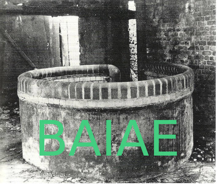 Lesung: Tobias Roth - Giovanni Pontano's BAIAE