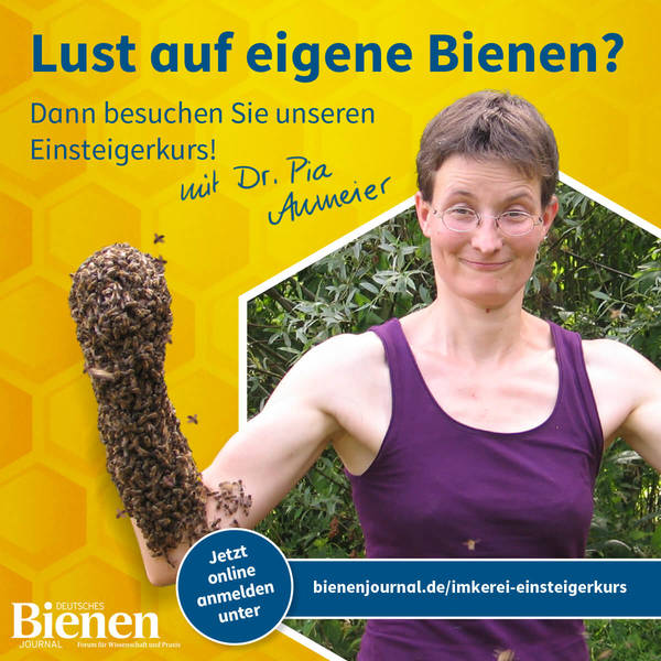 Imkerkurs für Einsteiger - kostenloser Schnuppertag!