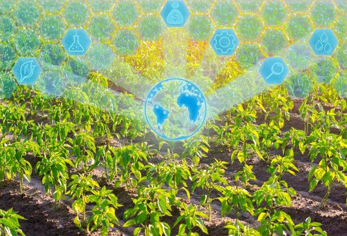 The Future of Food – Making trends sustainable