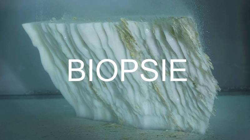 BIOPSIE. Gruppenausstellung zum Thema Klimawandel und Umweltbewusstsein