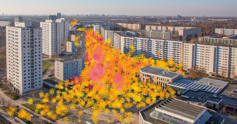 Blumen sagen mehr als 1000 Worte: Am Wochenende lässt die „Blütenpromenade“, Berlins neuer Blumenmarkt, Marzahn aufblühen. 