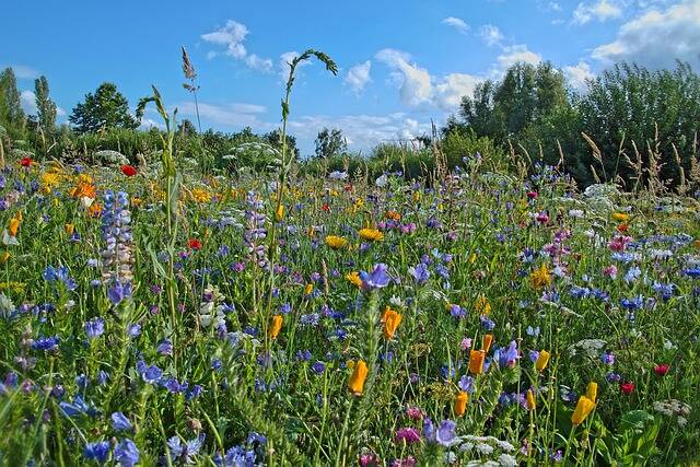 Ein Tag in der Natur - Schutzgebiete des Hahnebergs entdecken