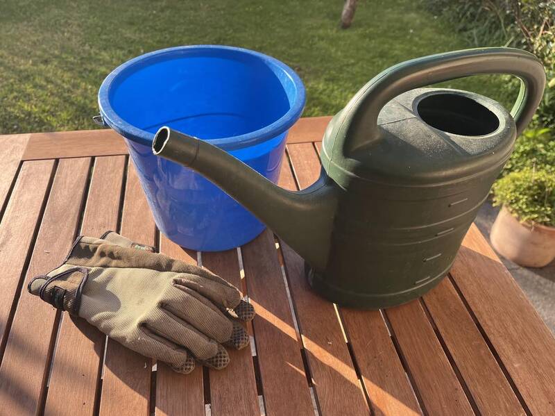 Wurmkisten-Workshop in der Bezirkszentralbibliothek Tempelhof