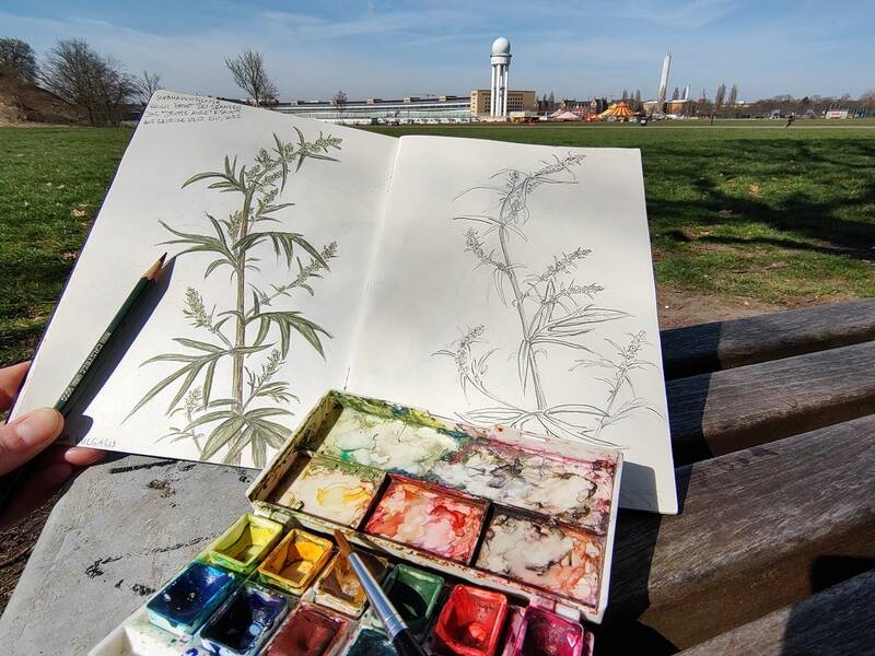 Botanical Drawing - Experimentelles botanisches Zeichnen mit Naturmaterialien auf dem Feld