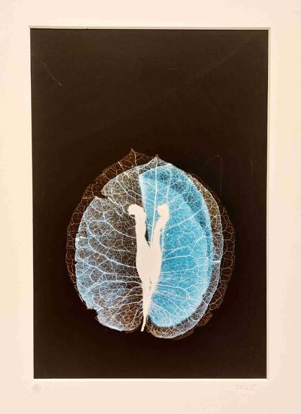 Gregor Philipps: Negative der Natur. Midissage
