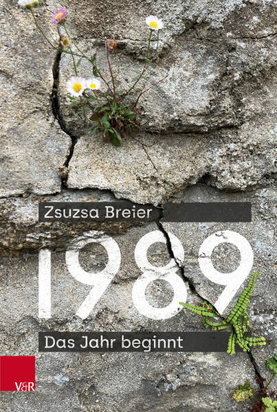 1989 neu erzählt: Das Wendejahr in Ungarn und den beiden deutschen Staaten