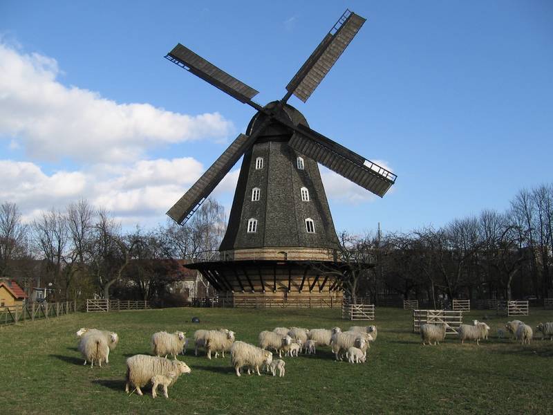 Britzer Mühlenfest