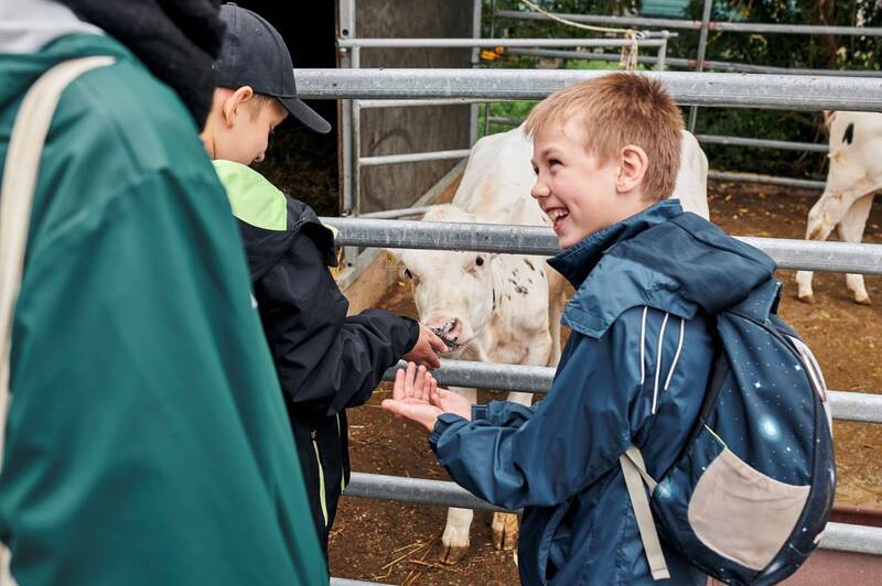 Meinem Schulessen auf der Spur! - Kostenloses Grundschulprojekt von RESTLOS GLÜCKLICH, der Sarah Wiener Stiftung und der Bio-Stadt Berlin