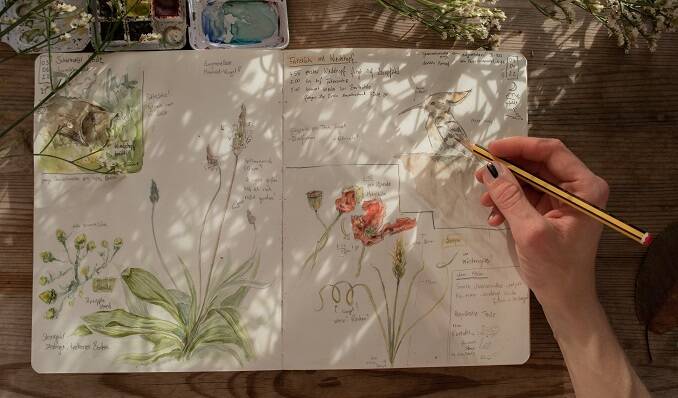 Nature Journaling auf dem Tempelhofer Feld