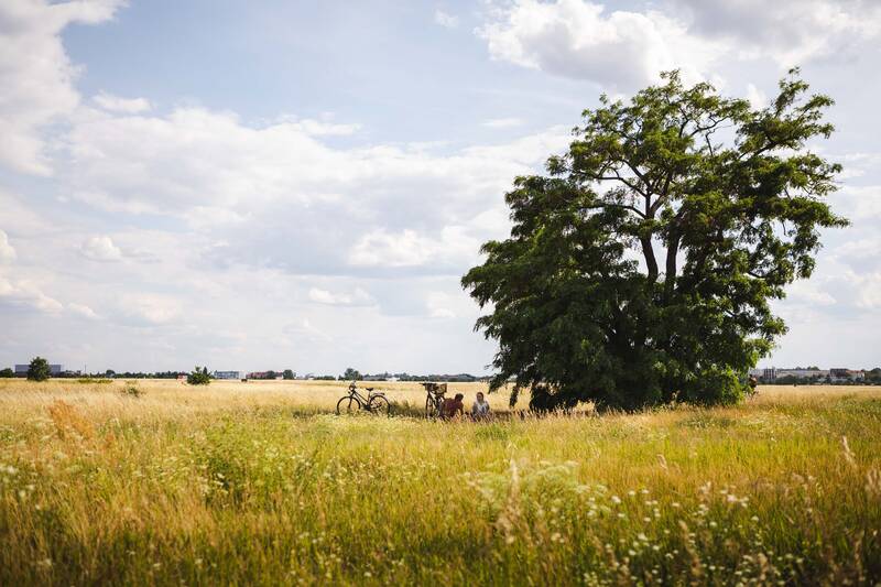 Worauf wächst es hier? Der Boden unter dem Tempelhofer Feld