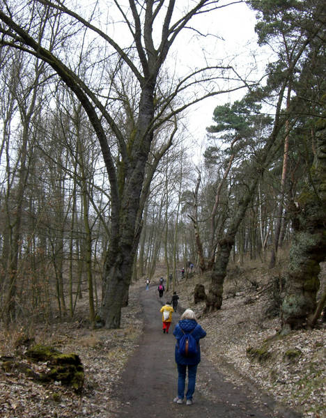 LachMeditationSpaziergang an der Havel - fit, gesund und fröhlich durch den Winter!
