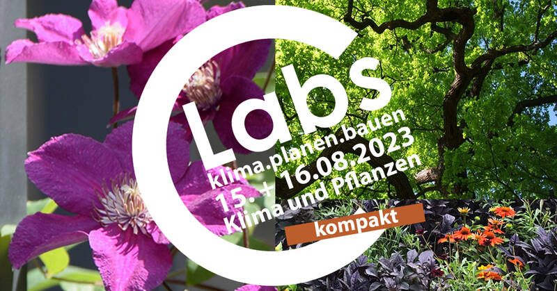 cLab: Klima und Pflanzen | kompakt