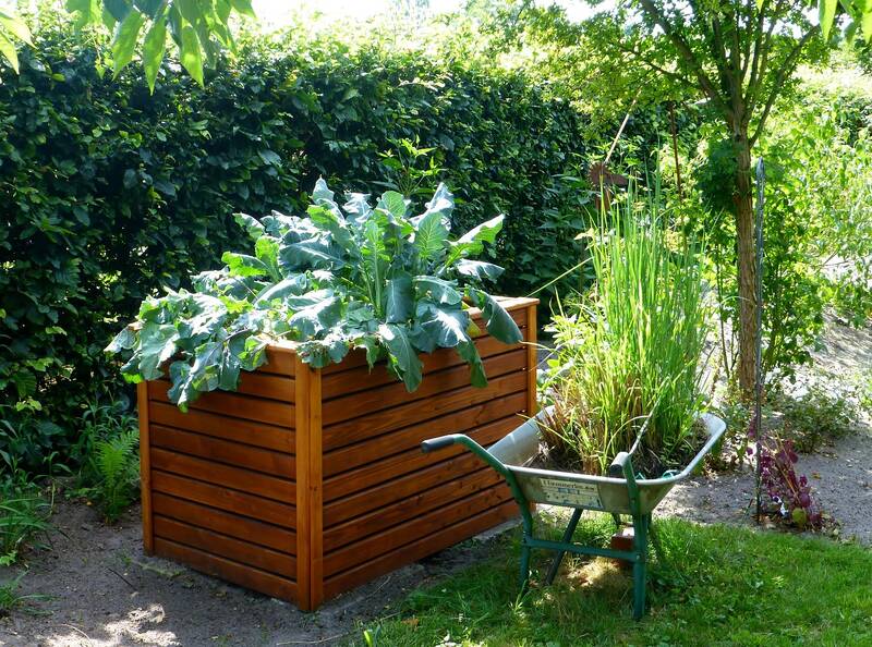 Gartentag an der Naturschutzstation mit Workshops & Saatgut-Tauschbörse