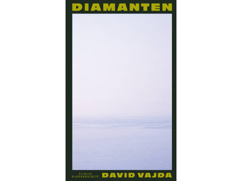 Buchpremiere mit David Vajda „Diamanten“