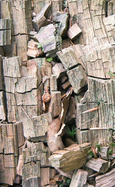 Wenn plötzlich Puzzleteile fehlen – Portraits von Menschen mit Demenz - Ausstellung in der Galerie KungerKiez