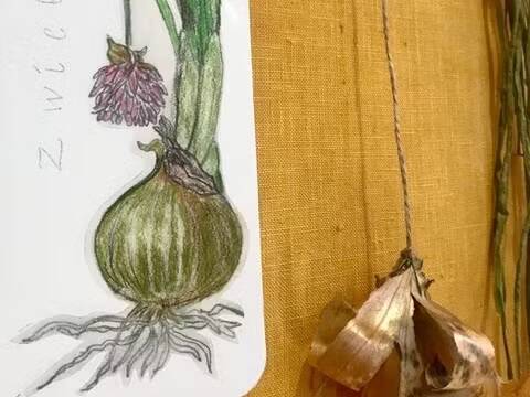 Mit Pflanzen färben und Bienenwachstücher herstellen