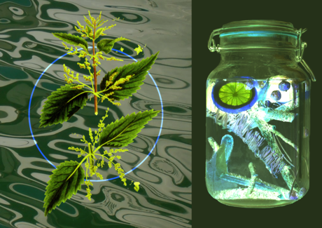 Liquid Landscapes