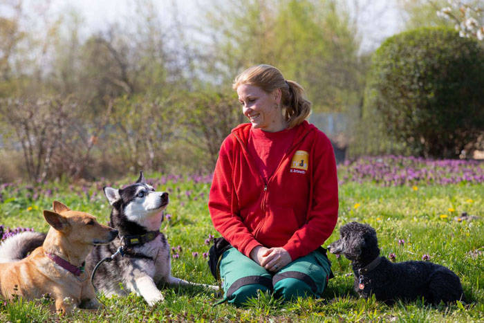 Auf unbestimmte Zeit verschoben!: Sprechen Sie Hund? So lesen Sie die Signale Ihres Vierbeiners