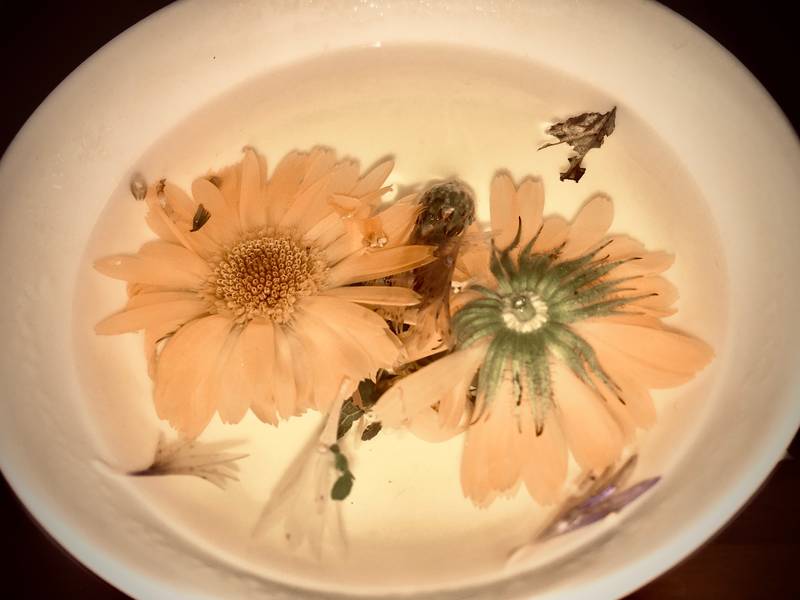 TEEKUNST UND IKEBANA