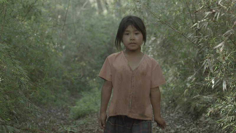 Pop-Up Cinema #13: Damiana Kryygi