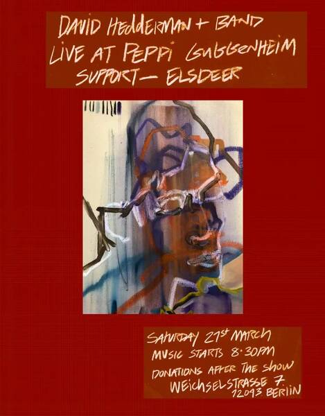 Folk-Rock @ Peppi: David Hedderman & Band