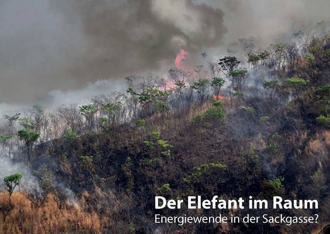 visita guiada gratuita en español - Der Elefant im Raum