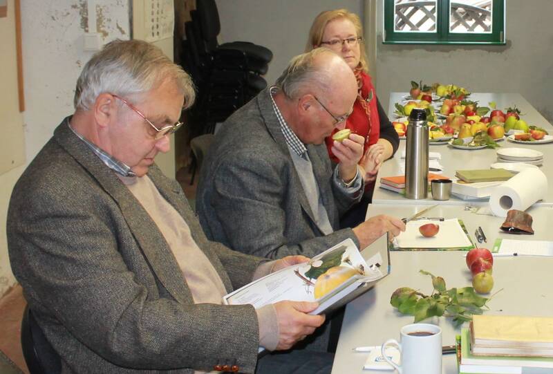 Apfelsortenbestimmung – von Prinz Albrecht bis Zabergäu Renette