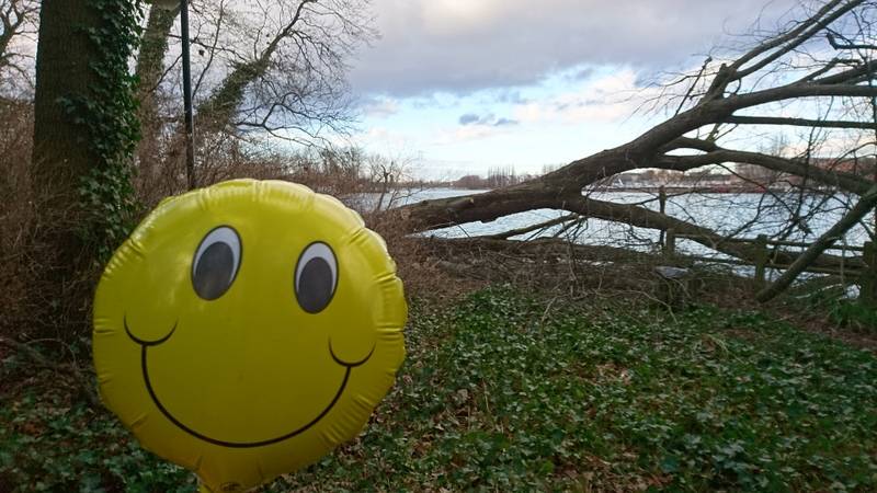 LachMeditationSpaziergang von Glienicker Brücke bis Pfaueninsel - ein Tag voller Entschleunigung