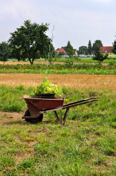 Infoveranstaltung regionale Landwirtschaft in Berlin-Brandenburg