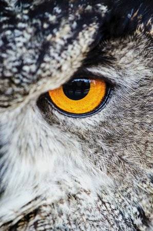 Presseclub für alle - Insektenschwund und Artensterben – wie können wir unsere Beziehung zur Natur verbessern?