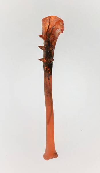 Ausstellung: Anna Pekkala - Unidentified