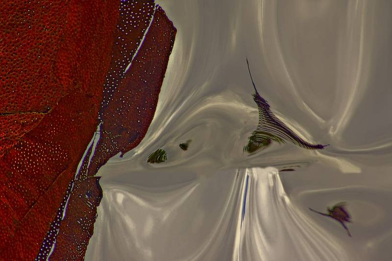 Vernissage in der PALASTgalerie am 14.10.2014 um 18 Uhr