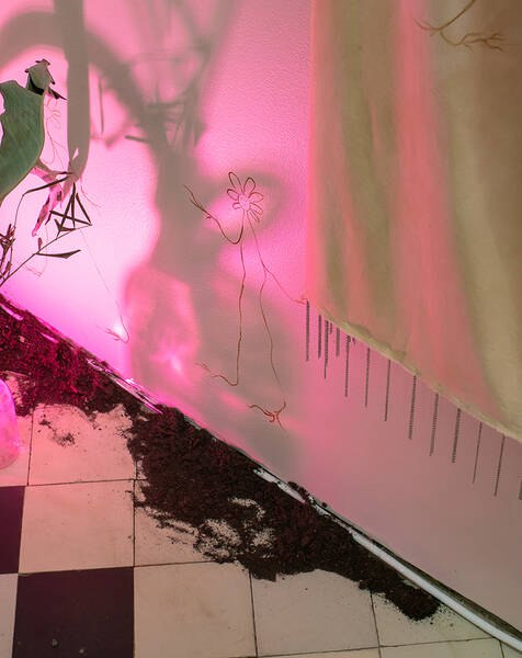 Welcome to exhibition: ​Viljami Nissi - Summertime Sadness (Di - Sa)