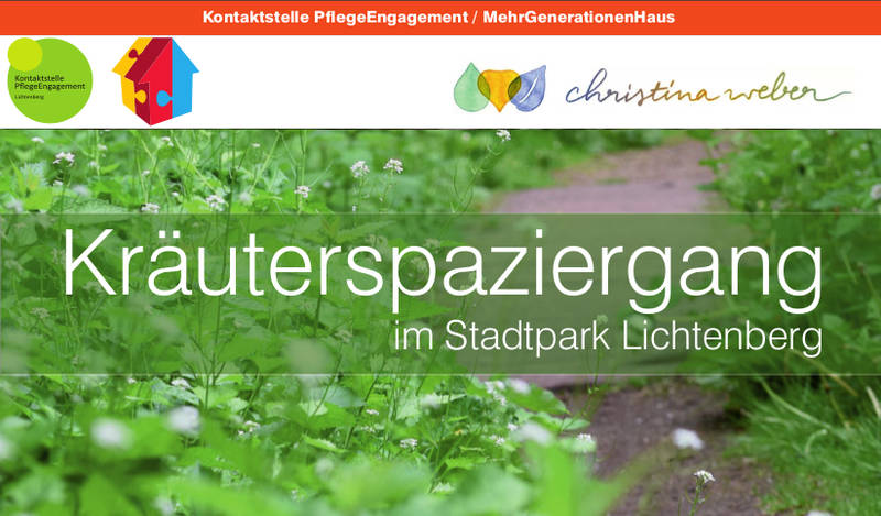 Kräuterspaziergang im Stadtpark Lichtenberg