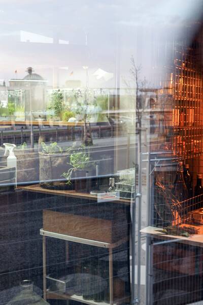 TRANSIT – Besuch aus einer alternativen Gesellschaft