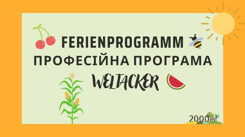 Ferienprogramm / Професійна програма Boden künstlerisch erfassen / Творче оформлення ґрунту 