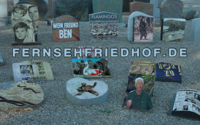Fernsehfriedhof.de: SALZHÖLLE DER FLAMINGOS - TIERFILME ALS PROPAGANDA