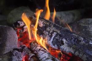 Feuertag für die ganze Familie