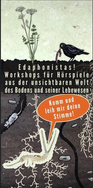 Hörspiel aufnehmen - Edaphonistas Workshop: die Stimmen des Bodens Bodenproben sammeln, analysieren und abhören
