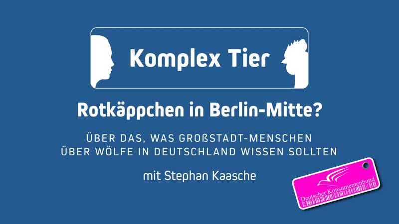 Rotkäppchen in Berlin-Mitte? Online-Vortrag über den Wolf in Deutschland