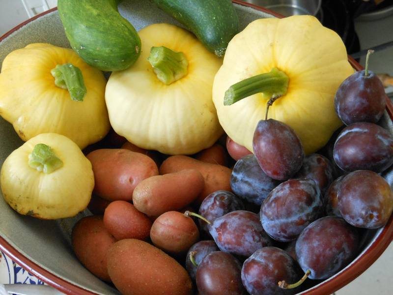 No Waste Picknick (Aktion gegen Lebensmittelverschwendung) bei Ein Hektar / One Hectare Ausstellung im Gleisdreieck Park