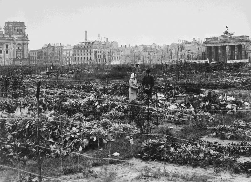 Kartoffeln, Kühe, Kalter Krieg - Eine andere Geschichte des geteilten Berlins