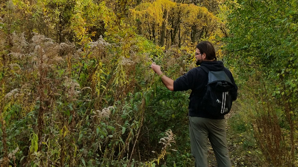 Wildkräuterwanderung im Volkspark Prenzlauer Berg mit anschließendem Besuch beim Gartenprojekt Peace of Land